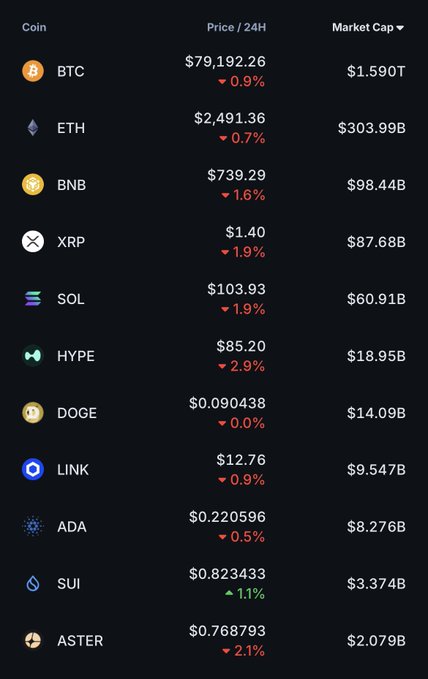 A cryptocurrency market table showing prices and market caps for coins including BTC ($79,192.26), ETH ($2,491.36), BNB, XRP, SOL, HYPE, DOGE, LINK, ADA, SUI, and ASTER, with most showing 24-hour declines.