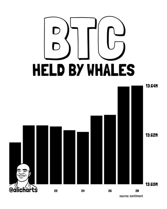 A black-and-white bar chart titled "BTC Held By Whales" shows an uptick in holdings from approximately 13.61M to 13.64M between dates 22 and 28, sourced from Santiment and attributed to @alicharts, visually supporting the post's claim that whales accumulated 29,075 BTC during Bitcoin's pullback.