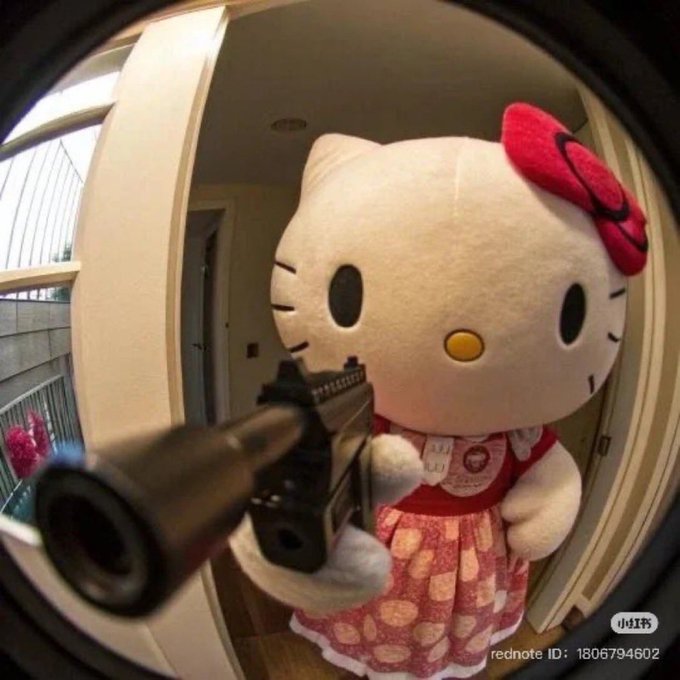 A fisheye-lens photo of a giant Hello Kitty plush wearing a red dress and bow, holding a black pistol, with a 'Xiaohongshu' watermark and rednote ID: 1806794602.