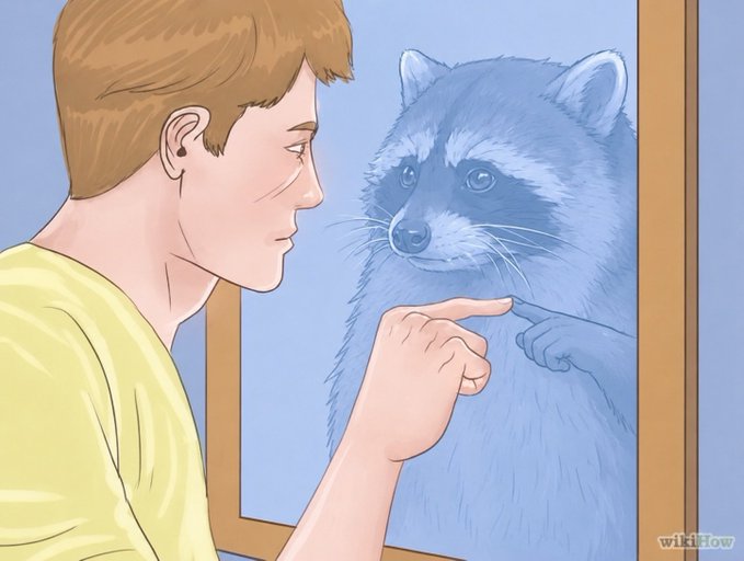 An illustrated wikiHow image showing a young man pointing at a raccoon through a window, where the raccoon is also pointing back at him through the glass.