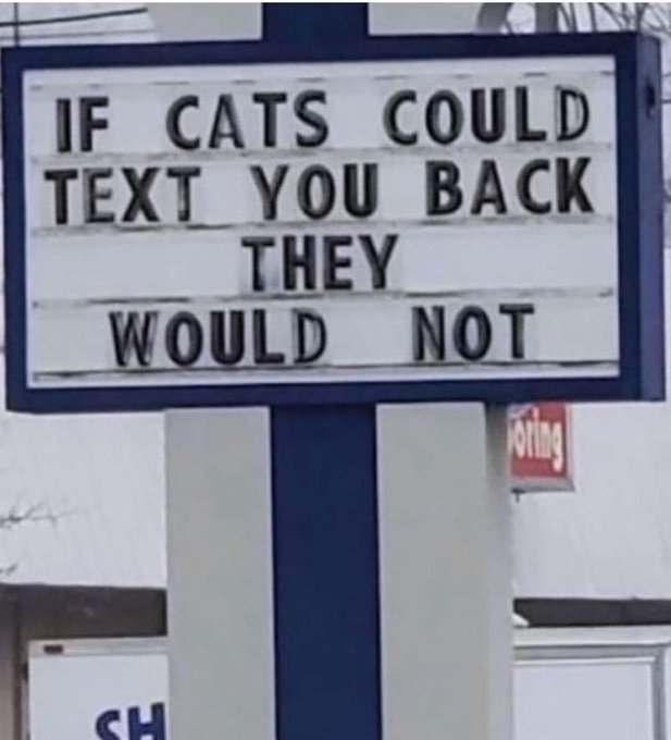 A photograph of a roadside sign with the humorous message 'IF CATS COULD TEXT YOU BACK THEY WOULD NOT'.