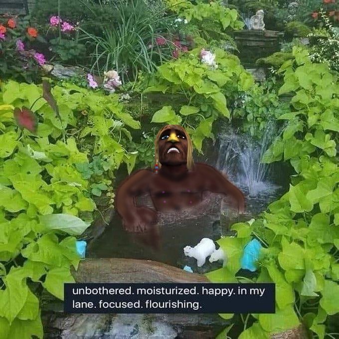 A humorous edited image shows a dark-skinned person in a lush garden pond with the caption 'unbothered. moisturized. happy. in my lane. focused. flourishing.'