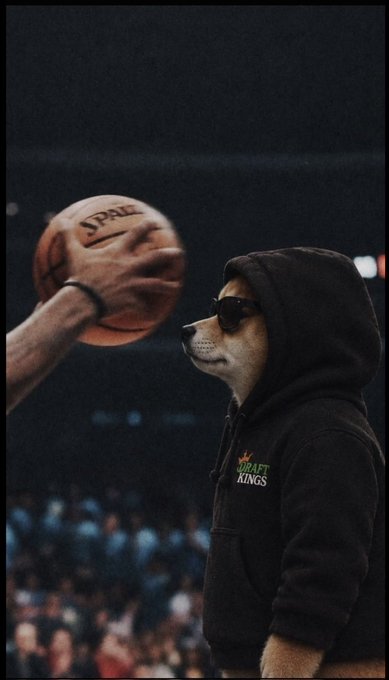 A dog wearing a black hoodie and sunglasses is featured in a basketball-themed image with the text 'DRAFT KINGS' on the hoodie and a Spalding basketball visible in the foreground.