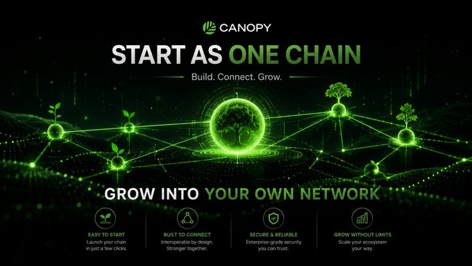 A Canopy promotional banner with the text 'START AS ONE CHAIN, Build. Connect. Grow.' and 'GROW INTO YOUR OWN NETWORK' features a glowing green tree icon connected to smaller nodes representing a blockchain network.