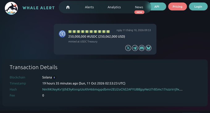 The image shows a Whale Alert notification detailing the minting of 250,000,000 USDC (≈$250 million) on the Solana blockchain by USDC Treasury on October 11, 2026, with a transaction hash beginning "Nm9ikXeyKv1jthE9y...". This visualizes the large USDC minting event referenced in the post, highlighting Circle's continued reliance on Solana as a liquidity destination and noting that the stablecoins currently sit in the issuance wallet awaiting deployment.
