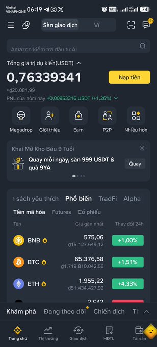 A screenshot of a Vietnamese crypto trading app (Binance/VNPay) showing USDT price at 0.76339341, with market prices for BNB ($575.06), BTC ($65,376.58), and ETH ($1,955.22).