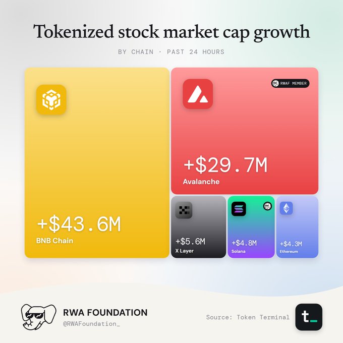 The image is a treemap visualization titled "Tokenized stock market cap growth by chain · Past 24 Hours," showing BNB Chain leading with +$43.6M in growth, followed by Avalanche (+$29.7M, marked as a KRWAP member), X Layer (+$5.6M), Solana (+$4.8M), and Ethereum (+$4.3M), sourced from Token Terminal and shared by RWA Foundation. The chart directly supports the post's claim by visually demonstrating BNB Chain's dominant lead in 24-hour tokenized stock market cap growth among major public chains.