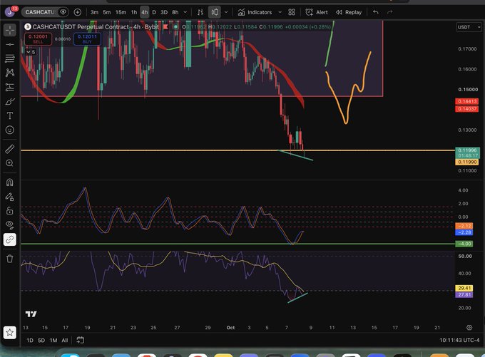 A cryptocurrency trading chart showing the "CASH/USDT Perpetual Contract" with technical indicators, currently trading around the 0.11996 - 0.12001 price level.