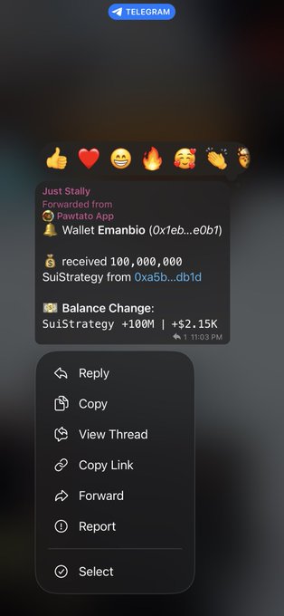 A Telegram chat screenshot showing forwarded messages about cryptocurrency wallet activity, including 'received 100,000,000 SuiStrategy from 0xa5b...db1d' and a balance change of '+100M | +$2.15K'.