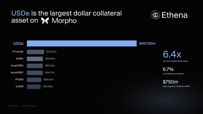 Ethena promotional chart showing "USDe is the largest dollar collateral asset on Morpho," with USDe at $657.89m, labeled as "6.4x the next largest dollar asset" and "6.7% of all Morpho collateral."