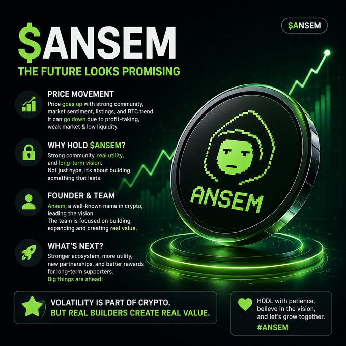 A promotional infographic for the $ANSEM token features a pixelated character coin against a green chart background, with sections highlighting "Price Movement," "Why Hold $ANSEM?," "Founder & Team," and "What's Next?"—reinforcing the post's message about community-driven value and long-term vision beyond short-term price action.
