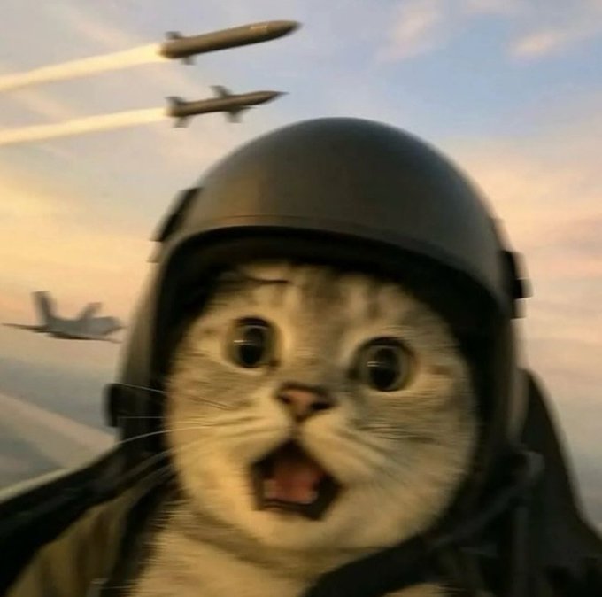 A humorous image of a cat wearing a pilot's helmet with an open-mouthed expression, with fighter jets flying in the background sky.