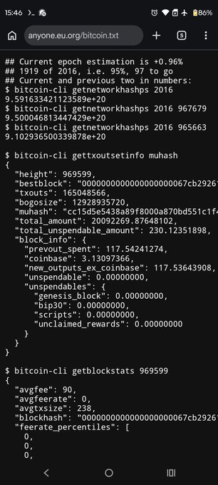 A mobile screenshot showing Bitcoin CLI output including commands like 'bitcoin-cli gettxoutsetinfo muhash' and 'bitcoin-cli getblockstats 969599' with various blockchain statistics.