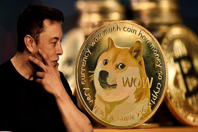 A photo of Elon Musk in thought pose sits beside a large physical Dogecoin coin, with a Bitcoin visible in the blurred background.