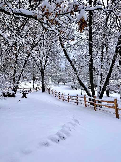 A snowy woodland path winds between a wooden split-rail fence and bare trees blanketed in fresh snow, with a few lingering brown leaves still clinging to the branches overhead. The serene winter scene complements the sold edition of "Unseen Threshold," evoking the quiet beauty of crossing into a hidden, wintry landscape.