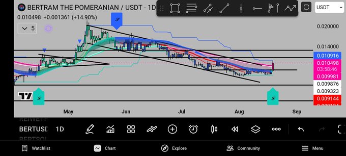 The image shows a daily candlestick chart for the BERTUSI/USDT trading pair, featuring Bertram the Pomeranian token at a current price of $0.010498 (+14.90%), with a downward descending channel and Ichimoku cloud overlay spanning May through September. The chart displays what appears to be a potential buy signal near the lower channel boundary, supporting the trader's call for a trend-following entry opportunity.