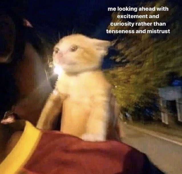 A meme featuring a small orange kitten sitting on someone's shoulder while riding a motorcycle at night, with text reading 'me looking ahead with excitement and curiosity rather than tenseness and mistrust.'
