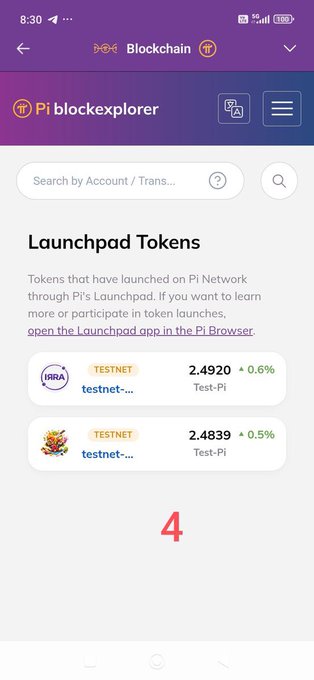 A mobile screenshot of the Pi blockchain explorer showing Launchpad Tokens including testnet-... (Test-Pi) and testnet-... (Test-Pi) with values 2.4920 and 2.4839.