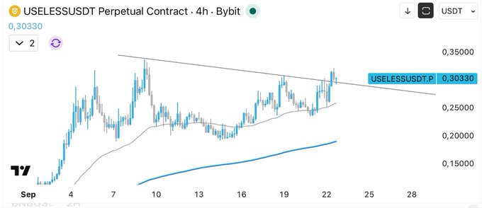 The image shows a 4-hour Bybit perpetual contract chart for USELESSUSDT trading at 0.30330, with price action breaking below a descending trendline and approaching key moving average support around 0.20-0.25 — visually supporting the post's humorous "final boarding call" warning of an imminent downturn for the USELESS token.
