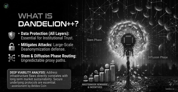 Promotional graphic titled 'What is Dandelion++?' describing it as a crypto protocol with data protection, de-anonymization defense, and stem & diffusion phase routing, featuring an image of a dandelion with a circuit board in its center (beldex.io).