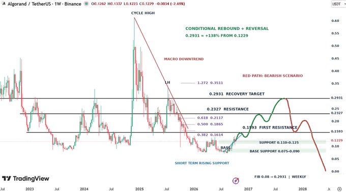 A TradingView weekly chart of Algorand/USDT (ALGO/USDT) showing price action from 2023 through 2028, with technical levels labeled including 'CYCLE HIGH', 'MACRO DOWNTREND', 'RECOVERY TARGET 0.2931', 'BASE 0.110-0.125', and a projected 'CONDITIONAL REBOUND + REVERSAL 0.2931 +138% FROM 0.1229'.