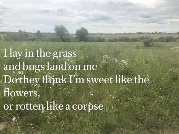 An image of a grassy field with trees under a cloudy sky, overlaid with white text: 'I lay in the grass and bugs land on me / Do they think I'm sweet like the flowers, / or rotten like a corpse'.