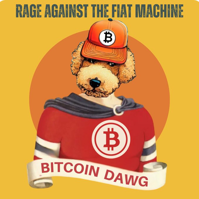 A graphic illustration of a poodle wearing an orange Bitcoin cap and a red shirt with a Bitcoin logo, featuring the text 'RAGE AGAINST THE FIAT MACHINE' and 'BITCOIN DAWG'.