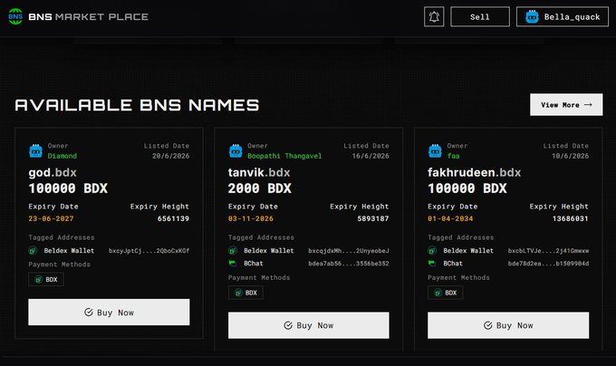 BNS Market Place dark-themed interface displaying available BNS names for sale: god.bdx (100000 BDX), tanvik.bdx (2000 BDX), and fakhrudeen.bdx (100000 BDX), each with Buy Now options.