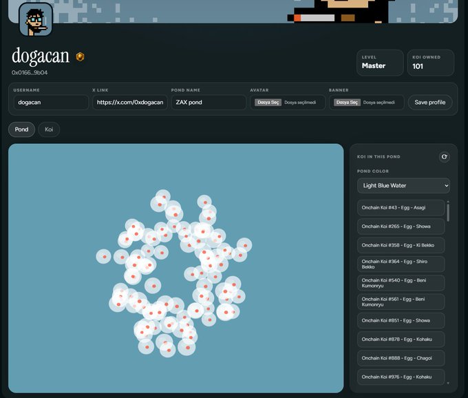 A profile page for "dogacan" (0x0166...9b04) at Master level with 101 Koi owned, displayed in "ZAX pond" with a "Light Blue Water" pond color, showing a cluster of unhatched Koi eggs on the left and a list of pending koi (#943-#976) on the right. The interface visually supports the post's claim that the 101 eggs in the pond will soon hatch into animated, fully on-chain Koi that take two years to mature.