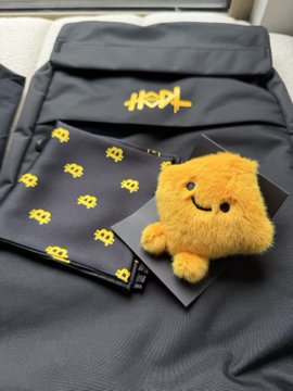 Black fabric items branded with 'Hood' displayed alongside a small fuzzy orange plush character with a smiling face.
