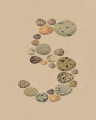 An artistic arrangement of various textured, speckled stones and pebbles in shades of green, blue, and tan, forming a curved shape on a cream-colored background.