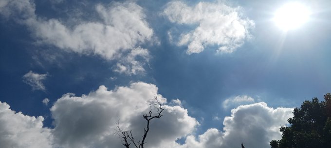A bright photograph of a blue sky with scattered white clouds, the sun shining brightly in the upper right, and silhouetted tree branches visible at the bottom.