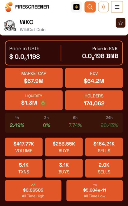 A Firescreener token analytics page for WKC (WikiCat Coin) showing price of $0.06,1198 USD / 0.19 BNB, market cap $67.9M, FDV $64.2M, 174,062 holders, and 24-hour performance metrics including 28.43% gain.