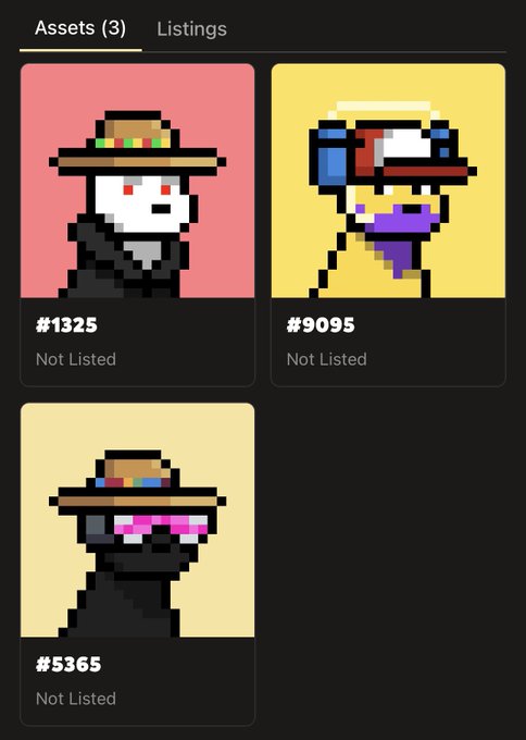 Screenshot of a digital asset gallery displaying three pixel art NFTs: #1325 (a figure with a hat), #9095 (a colorful character), and #5365 (a figure with sunglasses), all marked 'Not Listed' under an 'Assets (3)' tab.