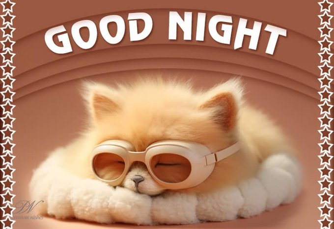 A cute Pomeranian dog wearing beige goggles, sleeping peacefully on a white fluffy pillow against a brown background with 'GOOD NIGHT' text in white at the top, framed by star-decorated borders.