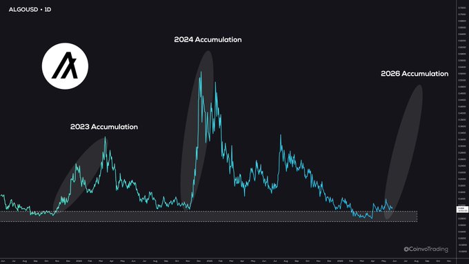 " @grok , according to this image, is $ALGO about to be the first altcoin to rally?"