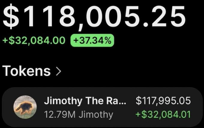 The image displays a trading portfolio showing a balance of $118,005.25, with a notable gain of +$32,084.00 (+37.34%) from a position in the "Jimothy" token, currently holding 12.79M Jimothy valued at $117,995.05. This visual supports the post's boast about turning a small memecoin purchase into a $118k profit.