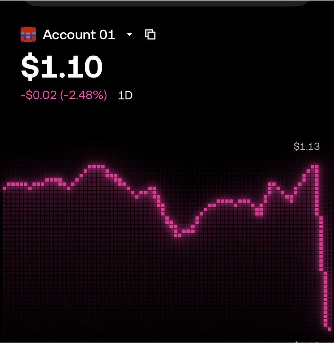 The image shows a crypto trading app screenshot displaying "Account 01" with a current price of $1.10, down $0.02 (-2.48%) over 1D, alongside a pink line chart that briefly peaked at $1.13 before sharply dropping. The image relates to the post's theme of silent suffering and hidden losses in crypto, visually capturing the moment a trader's portfolio takes a sudden nosedive—reflecting the "broke in silence" sentiment behind the bullish public front.