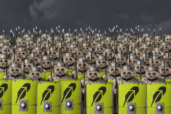 A humorous AI-generated image showing an army of cats dressed as Roman legionaries, complete with helmets, spears, and yellow shields with a lightning bolt symbol.