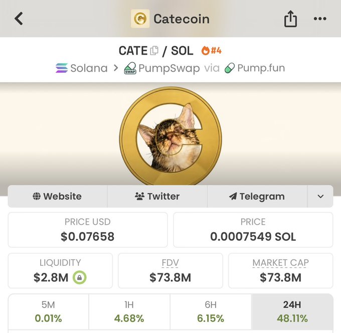 Screenshot of CATE/SOL token information on Catecoin, showing a price of $0.07658 (0.0007549 SOL), market cap of $73.8M, liquidity of $2.8M, and a strong 24H gain of 48.11%, supporting the post's bullish outlook for the Cate community.