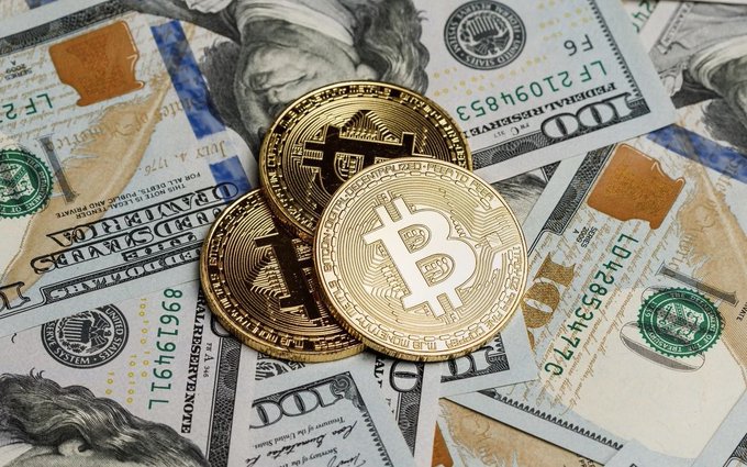 Three gold Bitcoin coins are stacked on top of United States one hundred dollar bills.