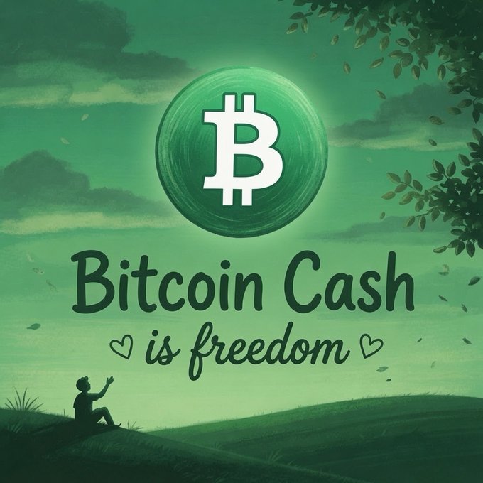 A graphic displays the Bitcoin Cash logo floating above a green landscape with a silhouetted figure, accompanied by the text 'Bitcoin Cash is freedom'.