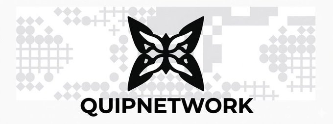A black logo of a stylized four-leaf shape above the text "QUIPNETWORK" on a background of faded geometric patterns.