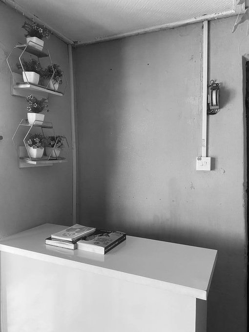 A black and white photo of a simple room corner featuring wall-mounted hexagonal shelves with potted plants, an electrical outlet, and books resting on a white counter.