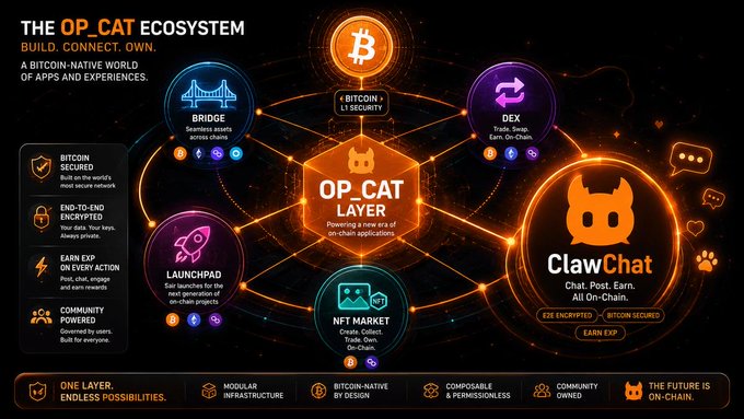 The image features an infographic that displays a network of icons related to cryptocurrencies, specifically focusing on Bitcoin. These icons represent different aspects of the cryptocurrency world such as opcatlayer, clawchat global, and various digital coins like BIP-347. The infographic is intended to educate viewers about Bitcoin and its related concepts.