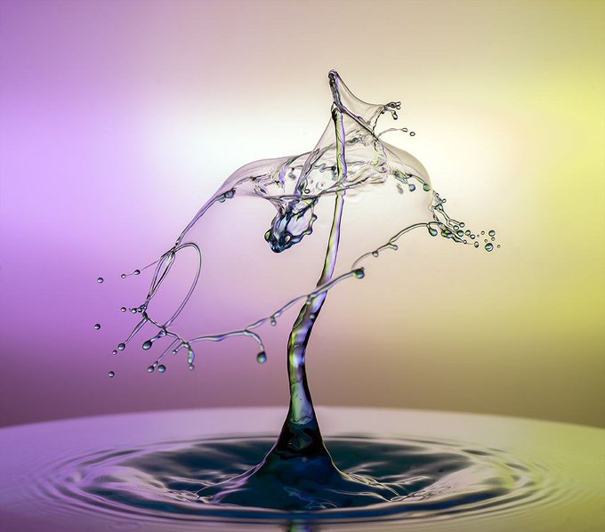 A stunning macro photograph captures a water splash frozen in motion, forming an elegant arching shape that resembles a dragon's silhouette against a soft purple and yellow gradient background. The image visually echoes the "Happy Dragon Day" celebration and the artist’s debut NFT mint on objkt, with the rippling water and droplet tendrils evoking the fluid, ethereal qualities of a mythical creature.