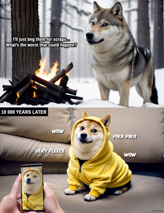 A two-panel meme showing a wolf beside a campfire with text 'I'll just beg them for scraps... What's the worst that could happen?' followed by '10 000 YEARS LATER' showing the same dog in a yellow Pikachu hoodie saying 'WOW', 'PIKA PIKA', and 'VERY FLEECE'.