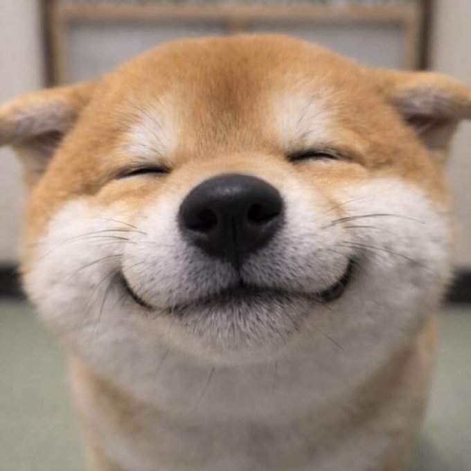 A smiling Shiba Inu dog with closed eyes and a content expression is pictured in a close-up shot, perfectly capturing the breed famously associated with the Doge meme and the broader "Inu" cryptocurrency family referenced in the post.
