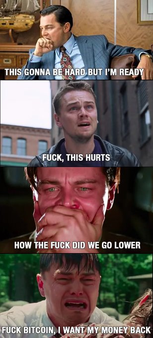 A four-panel meme using Leonardo DiCaprio scenes with text: 'This gonna be hard but I'm ready,' 'F*ck, this hurts,' 'How the f*ck did we go lower,' and 'F*ck Bitcoin, I want my money back,' depicting progressive stages of crypto loss.