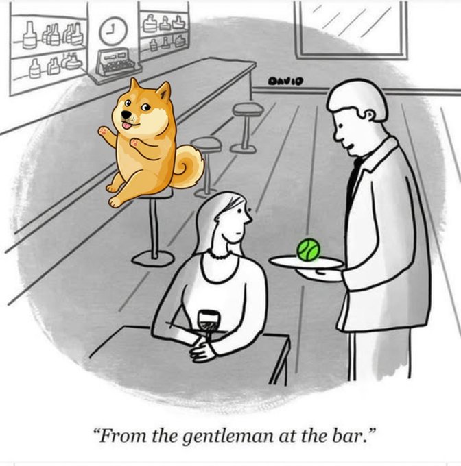 A humorous cartoon shows a Shiba Inu dog sitting at a bar, ordering a drink for a woman, captioned 'From the gentleman at the bar.'